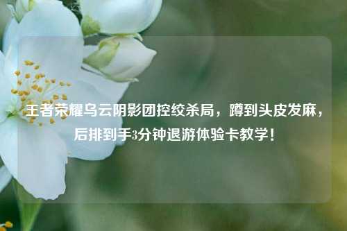 王者荣耀乌云阴影团控绞杀局,蹲到头皮发麻,后排到手3分钟退游体验卡教学!