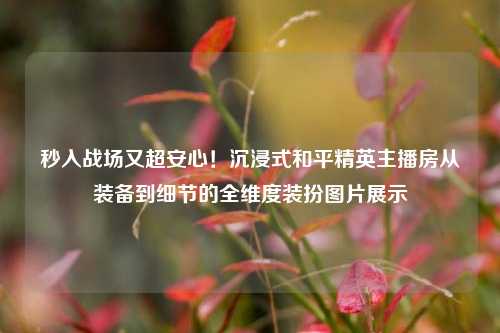 秒入战场又超安心!沉浸式和平精英主播房从装备到细节的全维度装扮图片展示