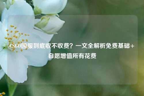 CSGO国服到底收不收费?一文全解析免费基础+自愿增值所有花费