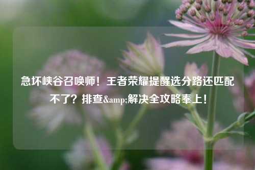 急坏峡谷召唤师!王者荣耀提醒选分路还匹配不了?排查&解决全攻略奉上!