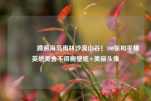 📸蹲遍海岛雨林沙漠山谷!100张和平精英绝美舍不得删壁纸+美丽头像