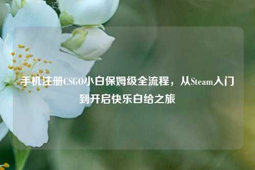 手机注册CSGO小白保姆级全流程,从Steam入门到开启快乐白给之旅
