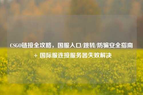 CSGO链接全攻略,国服入口/跳转/防骗安全指南 + 国际服连接服务器失败解决