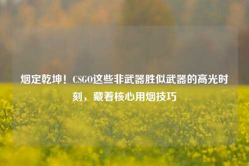 烟定乾坤!CSGO这些非武器胜似武器的高光时刻,藏着核心用烟技巧