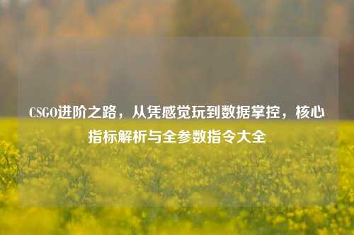 CSGO进阶之路,从凭感觉玩到数据掌控,核心指标解析与全参数指令大全