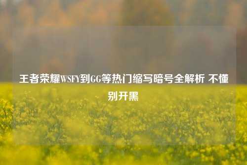 王者荣耀WSFY到GG等热门缩写暗号全解析 不懂别开黑