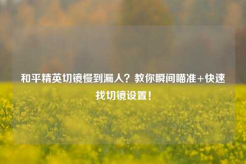 和平精英切镜慢到漏人?教你瞬间瞄准+快速找切镜设置!