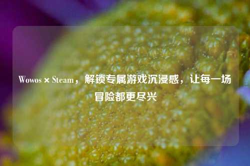 Wowos×Steam,解锁专属游戏沉浸感,让每一场冒险都更尽兴