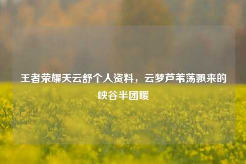 王者荣耀天云舒个人资料,云梦芦苇荡飘来的峡谷半团暖