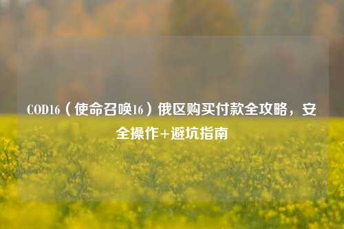 COD16(使命召唤16)俄区购买付款全攻略,安全操作+避坑指南