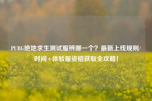 PUBG绝地求生测试服辨哪一个?最新上线规则/时间+体验服资格获取全攻略!