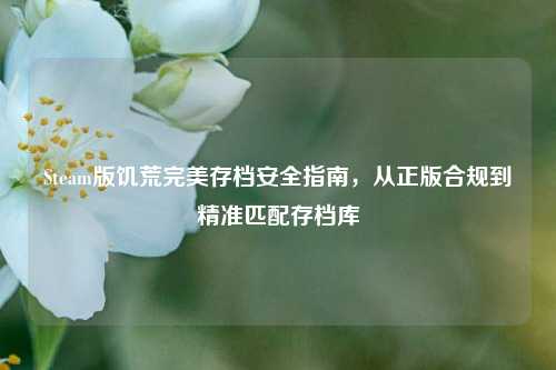 Steam版饥荒完美存档安全指南,从正版合规到精准匹配存档库