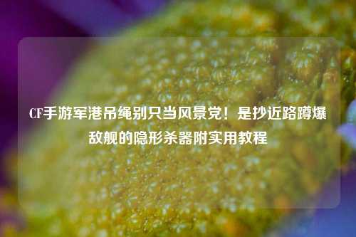 CF手游军港吊绳别只当风景党!是抄近路蹲爆敌舰的隐形杀器附实用教程