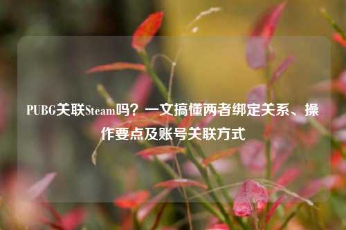 PUBG关联Steam吗?一文搞懂两者绑定关系、操作要点及账号关联方式