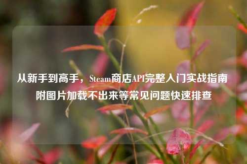 从新手到高手,Steam商店API完整入门实战指南 附图片加载不出来等常见问题快速排查