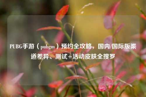 PUBG手游(pubgm)预约全攻略,国内/国际版渠道差异、测试+活动皮肤全搜罗