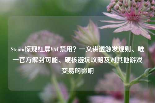 Steam惊现红屏VAC禁用?一文讲透触发规则、唯一官方解封可能、硬核避坑攻略及对其他游戏交易的影响