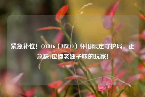 紧急补位!COD16(MW19)怀旧限定守护局,正急缺7位懂老油子味的玩家!