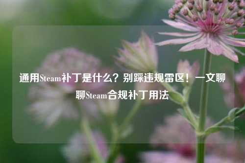 通用Steam补丁是什么?别踩违规雷区!一文聊聊Steam合规补丁用法