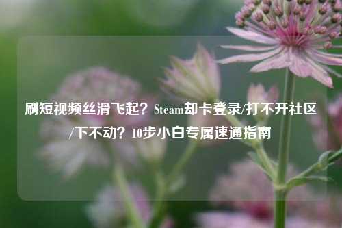 刷短视频丝滑飞起?Steam却卡登录/打不开社区/下不动?10步小白专属速通指南