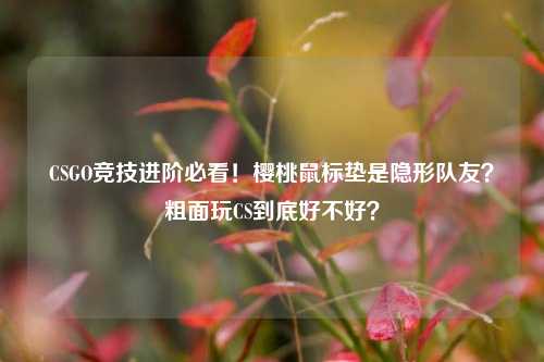 CSGO竞技进阶必看!樱桃鼠标垫是隐形队友?粗面玩CS到底好不好?