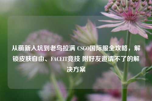 从萌新入坑到老鸟拉满 CSGO国际服全攻略,解锁皮肤自由、FACEIT竞技 附好友邀请不了的解决方案