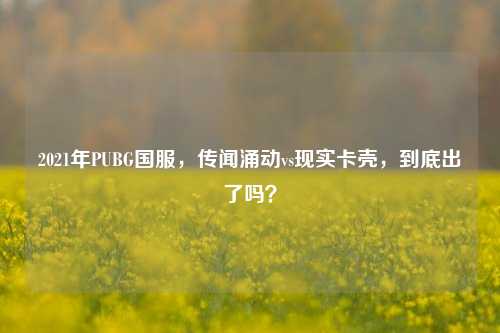 2021年PUBG国服,传闻涌动vs现实卡壳,到底出了吗?