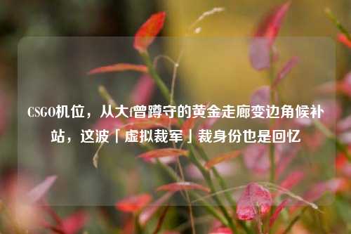 CSGO机位,从大f曾蹲守的黄金走廊变边角候补站,这波「虚拟裁军」裁身份也是回忆