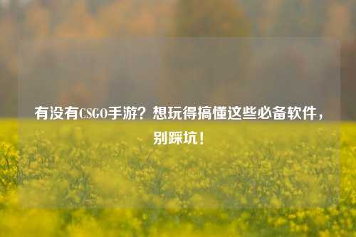 有没有CSGO手游?想玩得搞懂这些必备软件,别踩坑!