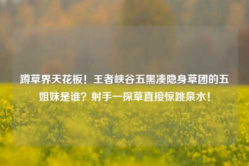 蹲草界天花板!王者峡谷五黑凑隐身草团的五姐妹是谁?射手一探草直接惊跳泉水!
