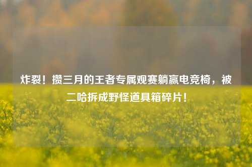 炸裂！攒三月的王者专属观赛躺赢电竞椅，被二哈拆成野怪道具箱碎片！