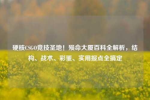 硬核CSGO竞技圣地！殒命大厦百科全解析，结构、战术、彩蛋、实用报点全搞定