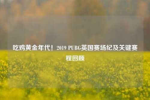 吃鸡黄金年代！2019 PUBG英国赛场纪及关键赛程回顾